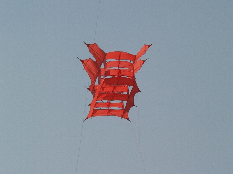 TAGLIATA2008-0150.jpg - OLYMPUS DIGITAL CAMERA         