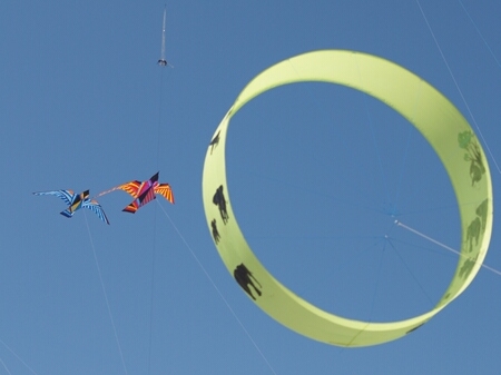 TAGLIATA2008-0152.jpg - OLYMPUS DIGITAL CAMERA         