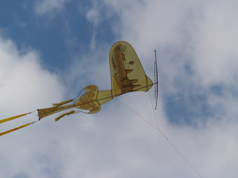 TAGLIATA2008-0153.jpg - OLYMPUS DIGITAL CAMERA         