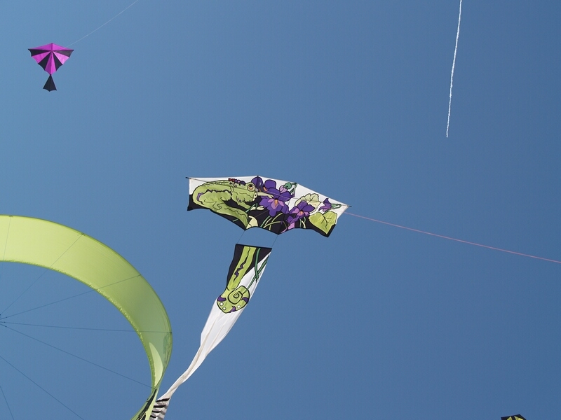 TAGLIATA2008-0154.jpg - OLYMPUS DIGITAL CAMERA         