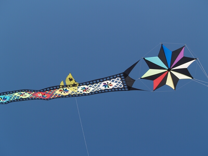 TAGLIATA2008-0155.jpg - OLYMPUS DIGITAL CAMERA         