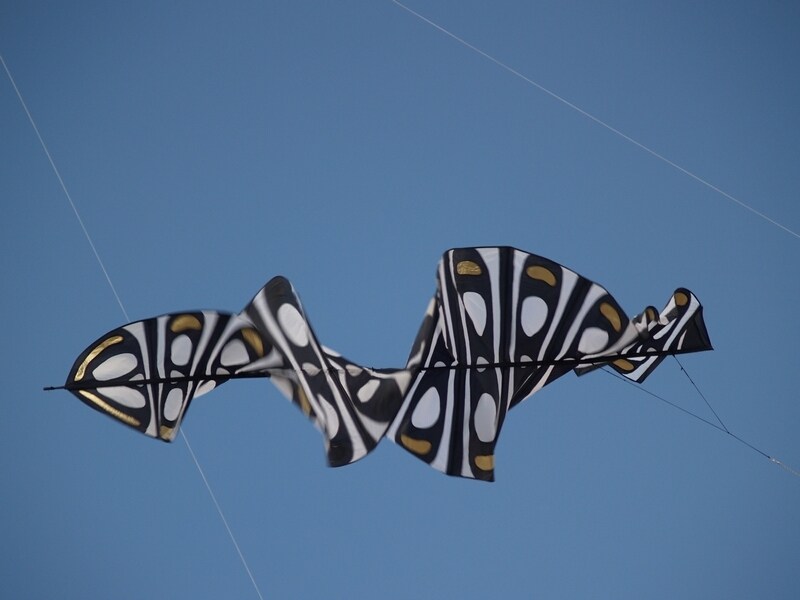 TAGLIATA2008-0156.jpg - OLYMPUS DIGITAL CAMERA         