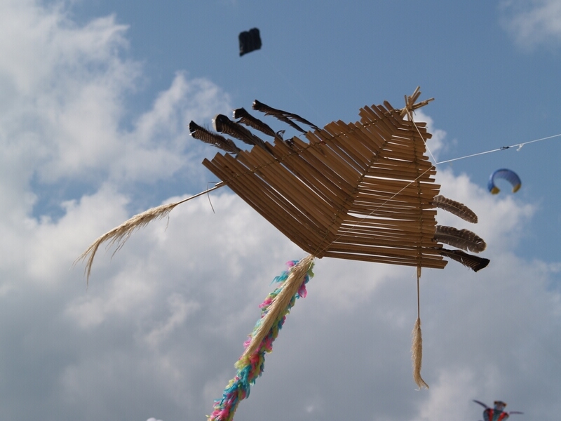 TAGLIATA2008-0160.jpg - OLYMPUS DIGITAL CAMERA         