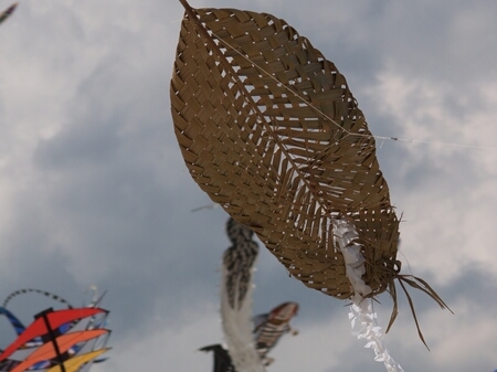 TAGLIATA2008-0161.jpg - OLYMPUS DIGITAL CAMERA         