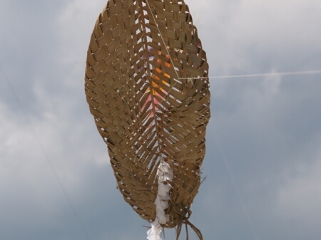 TAGLIATA2008-0162.jpg - OLYMPUS DIGITAL CAMERA         