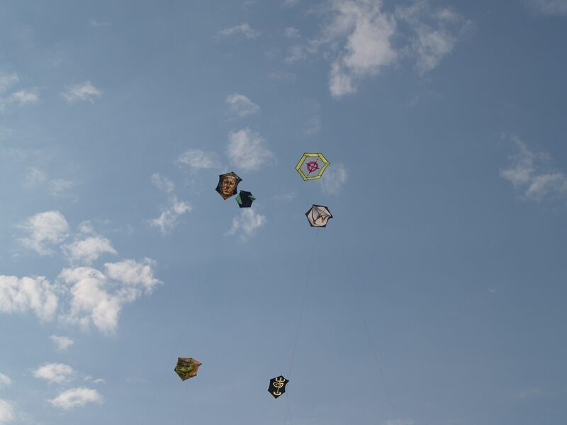 TAGLIATA2008-0167.jpg - OLYMPUS DIGITAL CAMERA         