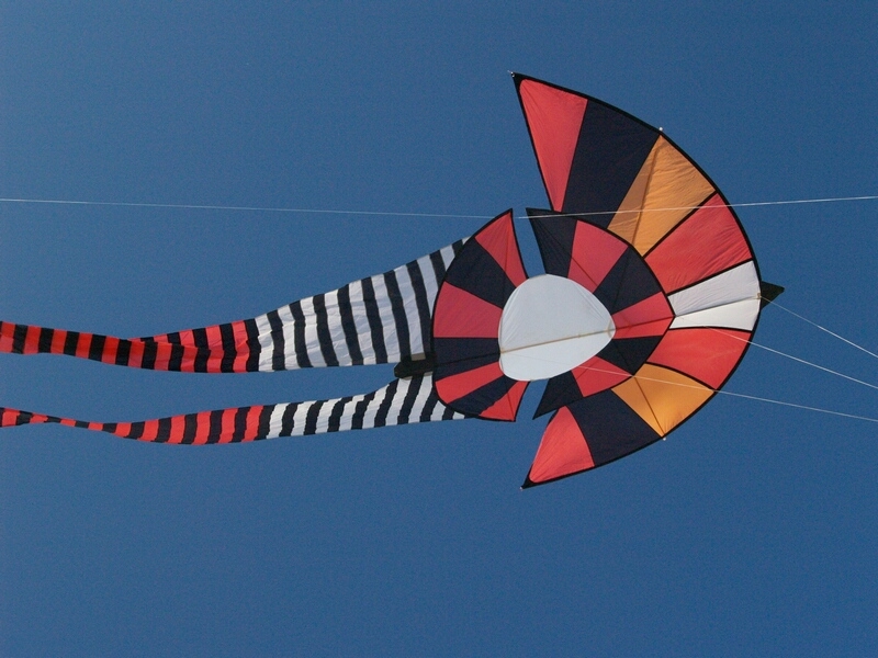 TAGLIATA2008-0168.jpg - OLYMPUS DIGITAL CAMERA         