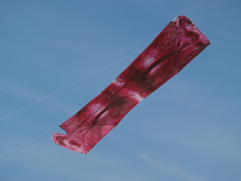 TAGLIATA2008-0169.jpg - OLYMPUS DIGITAL CAMERA         