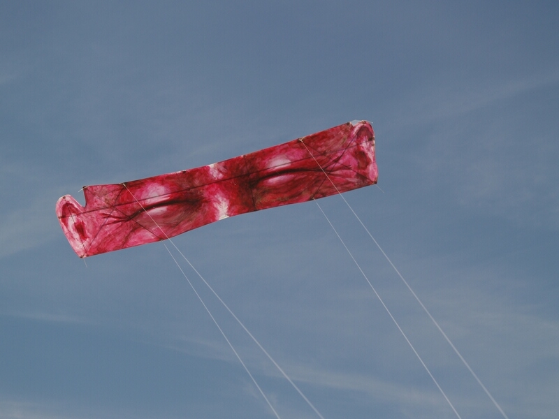 TAGLIATA2008-0170.jpg - OLYMPUS DIGITAL CAMERA         