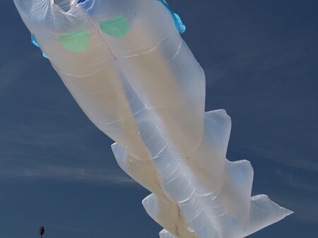 TAGLIATA2008-0173.jpg - OLYMPUS DIGITAL CAMERA         