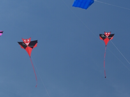 TAGLIATA2008-0175.jpg - OLYMPUS DIGITAL CAMERA         