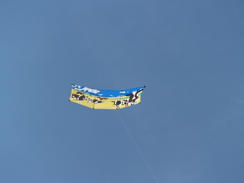 TAGLIATA2008-0176.jpg - OLYMPUS DIGITAL CAMERA         