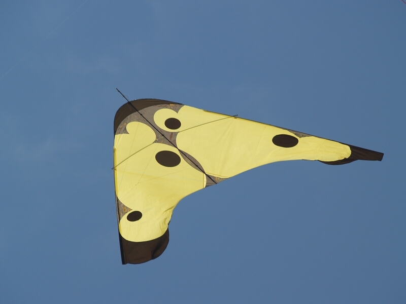 TAGLIATA2008-0181.jpg - OLYMPUS DIGITAL CAMERA         