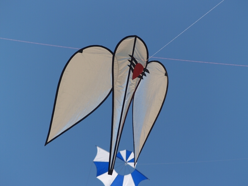 TAGLIATA2008-0182.jpg - OLYMPUS DIGITAL CAMERA         