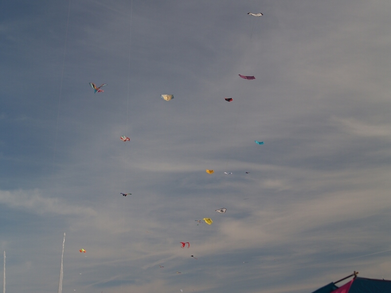 TAGLIATA2008-0184.jpg - OLYMPUS DIGITAL CAMERA         