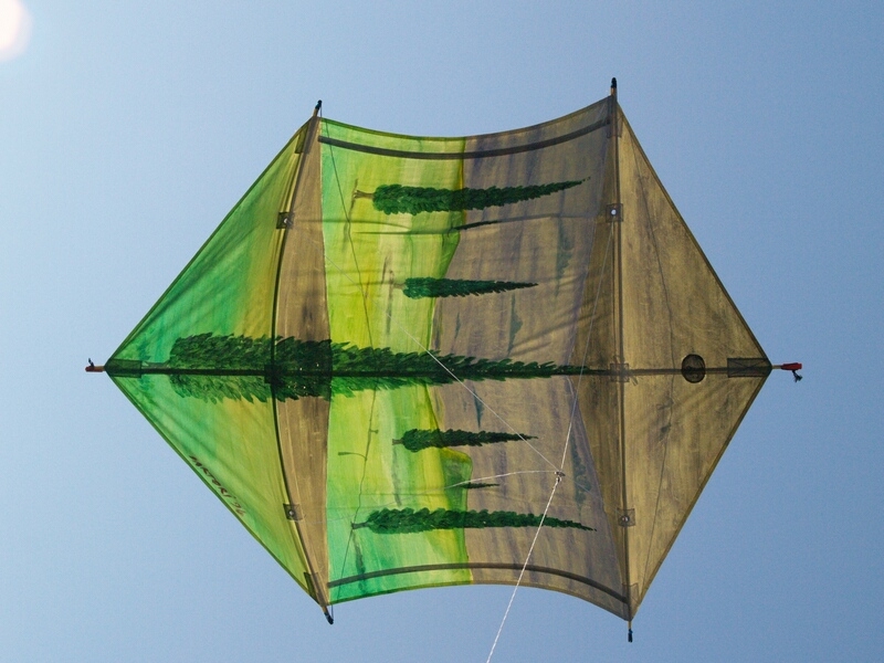 TAGLIATA2008-0186.jpg - OLYMPUS DIGITAL CAMERA         