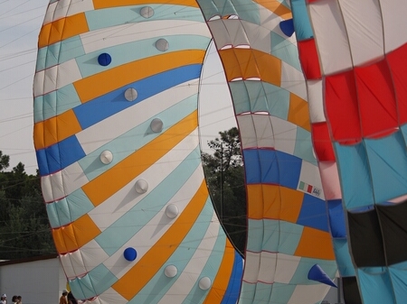 TAGLIATA2008-0236.jpg - OLYMPUS DIGITAL CAMERA         