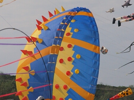 TAGLIATA2008-0237.jpg - OLYMPUS DIGITAL CAMERA         