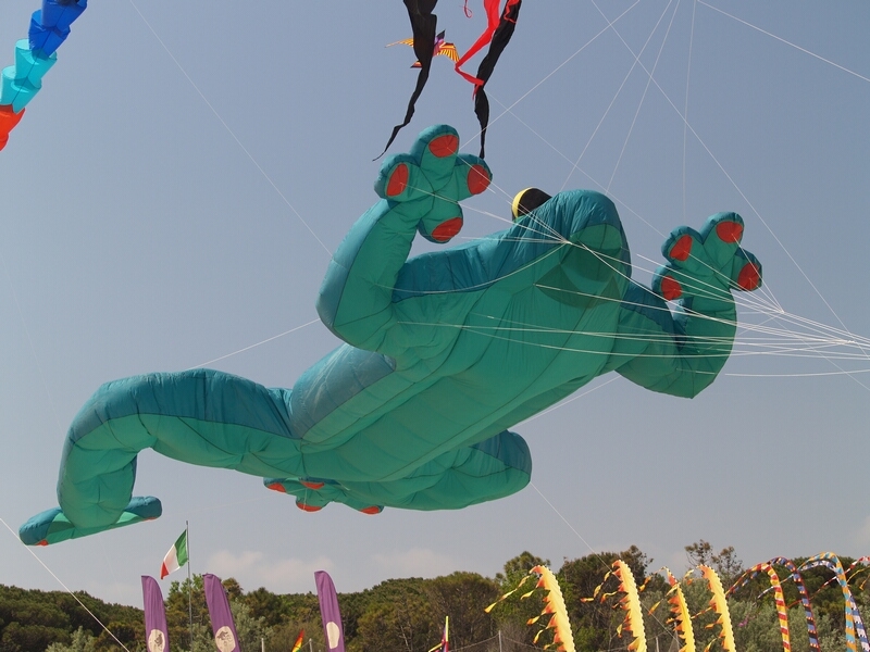 TAGLIATA2008-0238.jpg - OLYMPUS DIGITAL CAMERA         