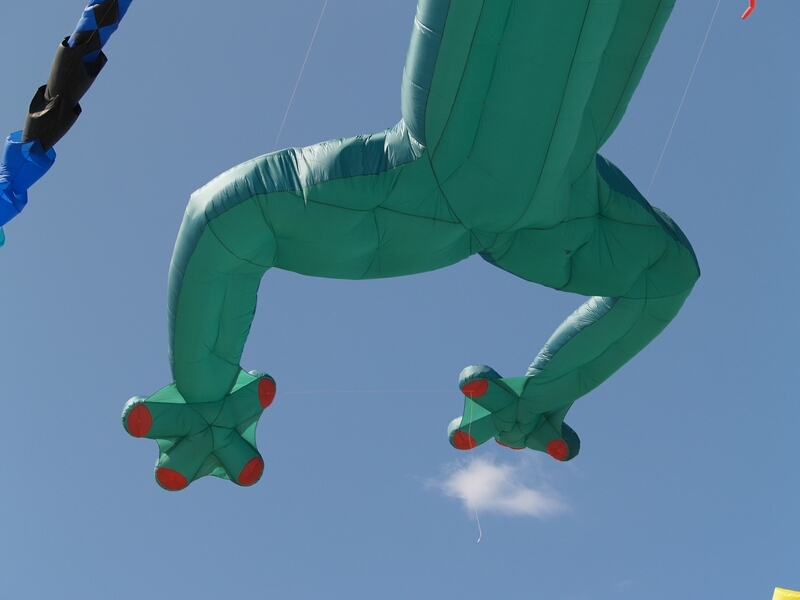 TAGLIATA2008-0239.jpg - OLYMPUS DIGITAL CAMERA         