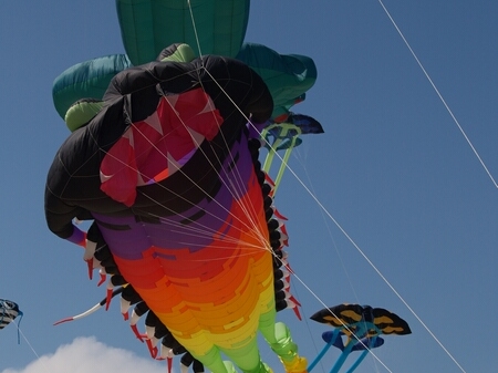 TAGLIATA2008-0240.jpg - OLYMPUS DIGITAL CAMERA         
