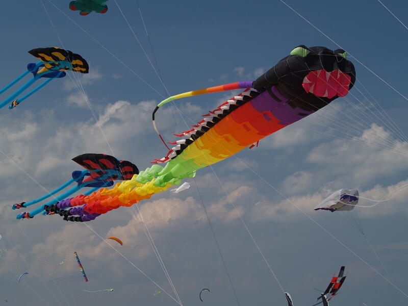 TAGLIATA2008-0241.jpg - OLYMPUS DIGITAL CAMERA         