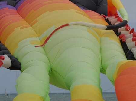 TAGLIATA2008-0242.jpg - OLYMPUS DIGITAL CAMERA         