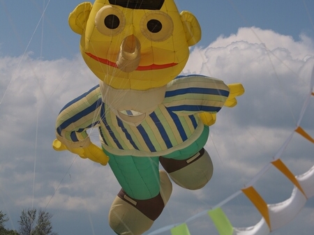 TAGLIATA2008-0243.jpg - OLYMPUS DIGITAL CAMERA         