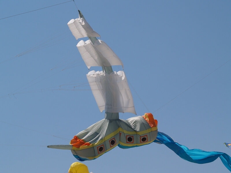 TAGLIATA2008-0246.jpg - OLYMPUS DIGITAL CAMERA         