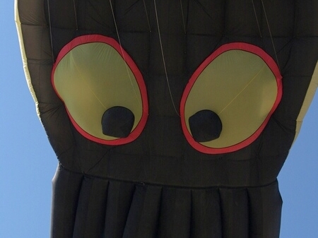 TAGLIATA2008-0254.jpg - OLYMPUS DIGITAL CAMERA         