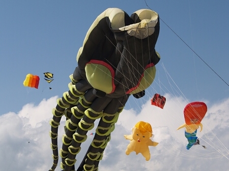 TAGLIATA2008-0255.jpg - OLYMPUS DIGITAL CAMERA         