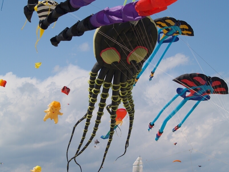 TAGLIATA2008-0256.jpg - OLYMPUS DIGITAL CAMERA         