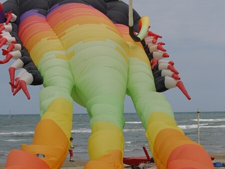 TAGLIATA2008-0257.jpg - OLYMPUS DIGITAL CAMERA         