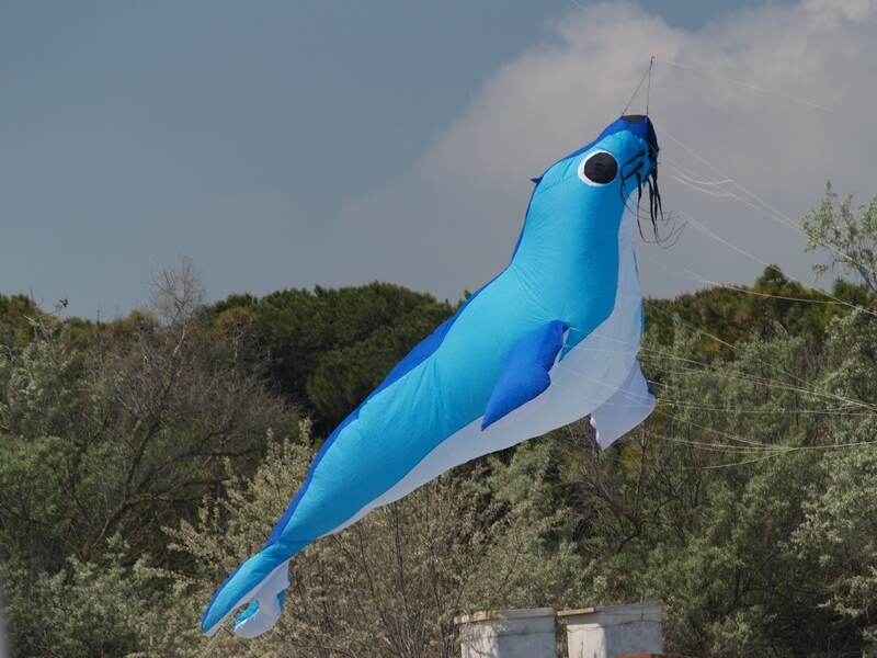 TAGLIATA2008-0258.jpg - OLYMPUS DIGITAL CAMERA         