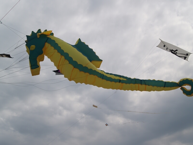 TAGLIATA2008-0262.jpg - OLYMPUS DIGITAL CAMERA         