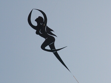 TAGLIATA2008-0303.jpg - OLYMPUS DIGITAL CAMERA         