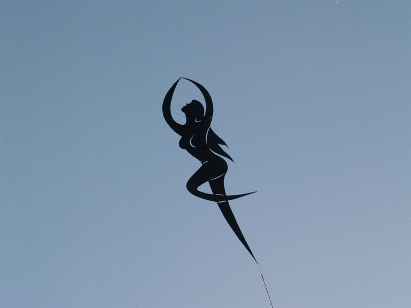 TAGLIATA2008-0304.jpg - OLYMPUS DIGITAL CAMERA         