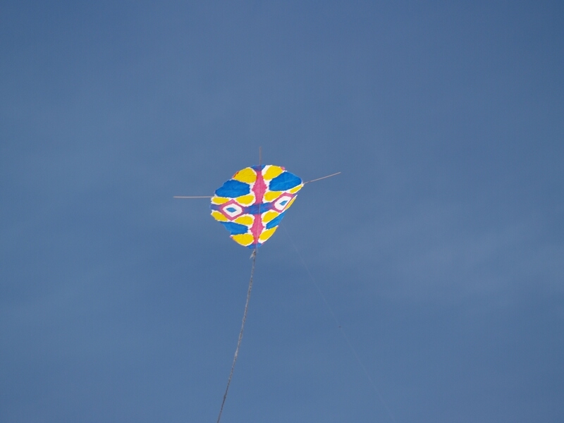 TAGLIATA2008-0308.jpg - OLYMPUS DIGITAL CAMERA         