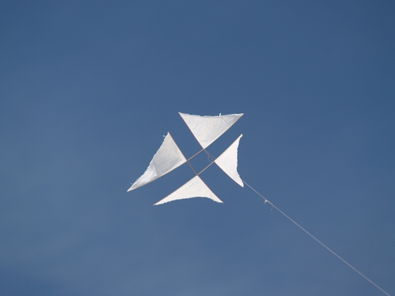 TAGLIATA2008-0309.jpg - OLYMPUS DIGITAL CAMERA         