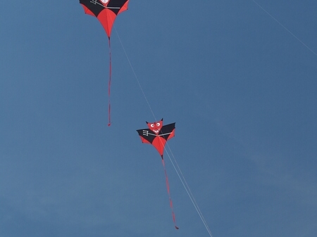 TAGLIATA2008-0312.jpg - OLYMPUS DIGITAL CAMERA         