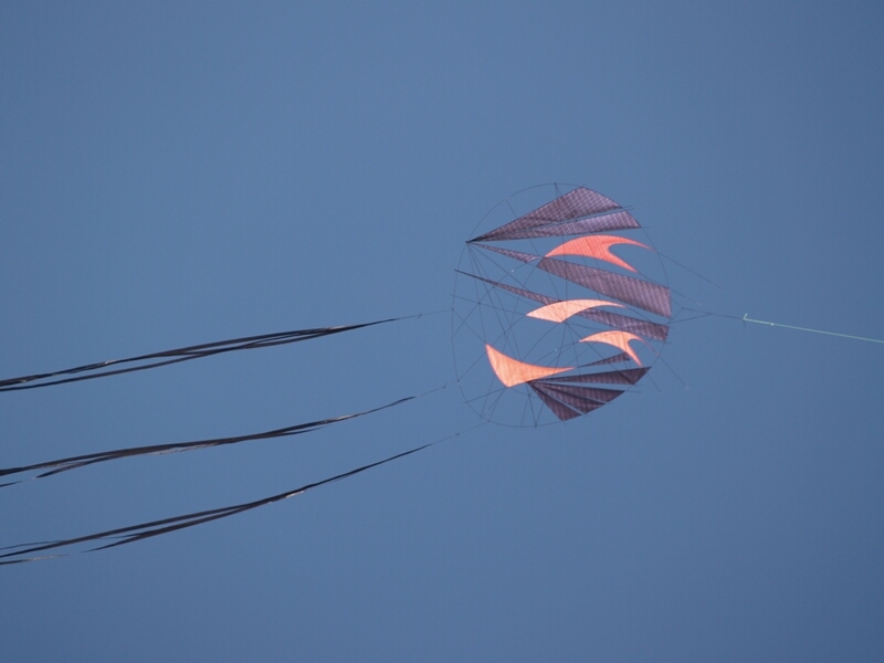 TAGLIATA2008-0314.jpg - OLYMPUS DIGITAL CAMERA         