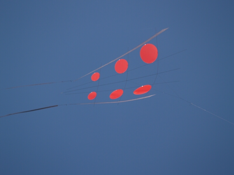 TAGLIATA2008-0315.jpg - OLYMPUS DIGITAL CAMERA         