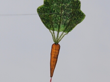 TAGLIATA2008-0317.jpg - OLYMPUS DIGITAL CAMERA         