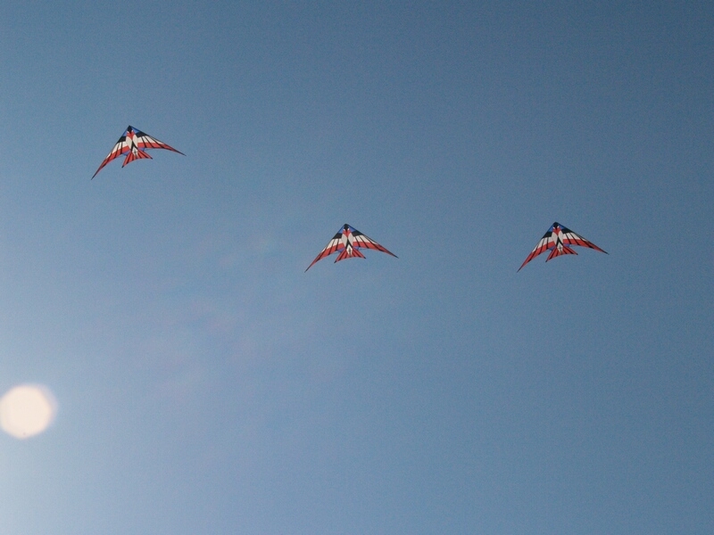 TAGLIATA2008-0423.jpg - OLYMPUS DIGITAL CAMERA         