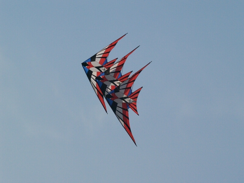 TAGLIATA2008-0425.jpg - OLYMPUS DIGITAL CAMERA         