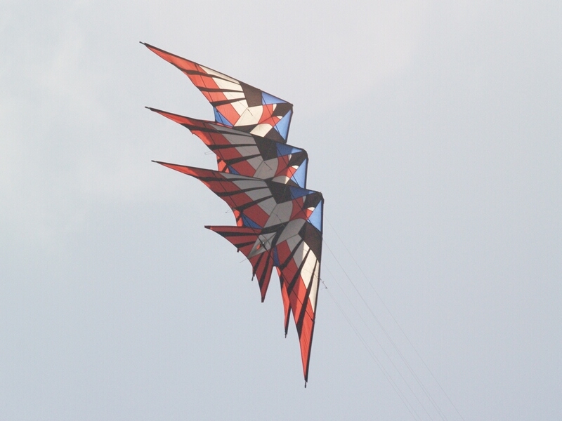 TAGLIATA2008-0426.jpg - OLYMPUS DIGITAL CAMERA         