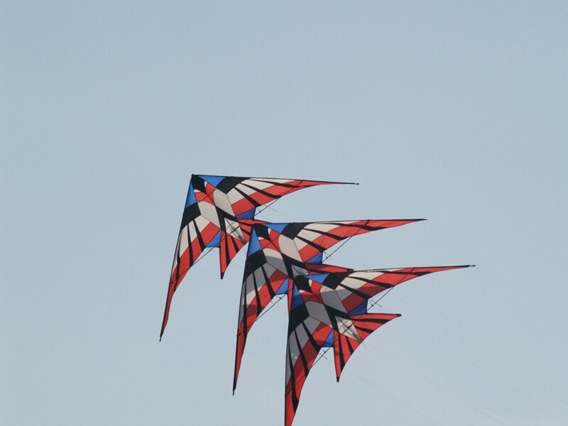 TAGLIATA2008-0427.jpg - OLYMPUS DIGITAL CAMERA         