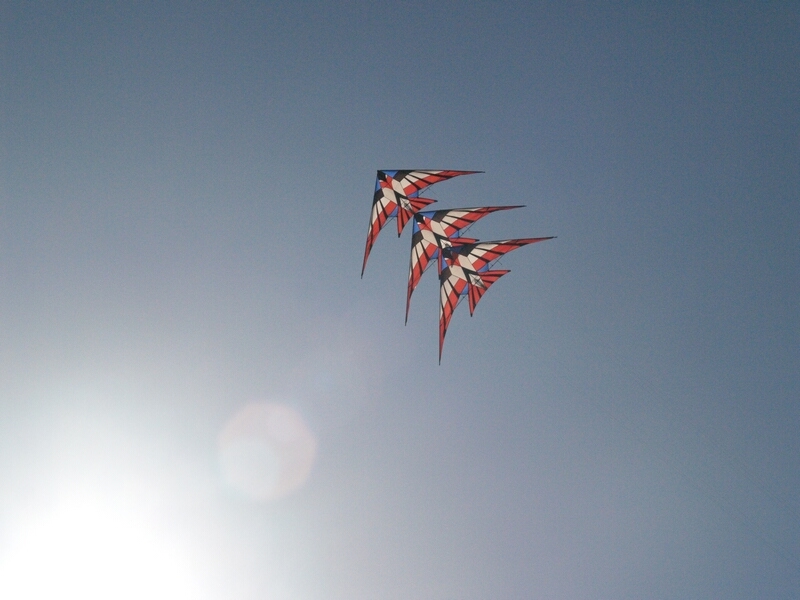 TAGLIATA2008-0428.jpg - OLYMPUS DIGITAL CAMERA         