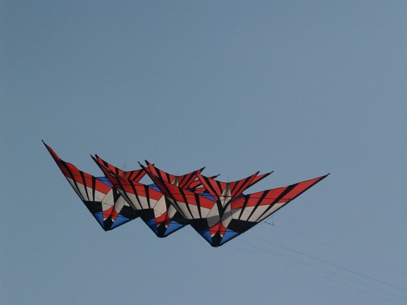 TAGLIATA2008-0429.jpg - OLYMPUS DIGITAL CAMERA         