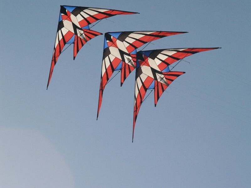 TAGLIATA2008-0430.jpg - OLYMPUS DIGITAL CAMERA         